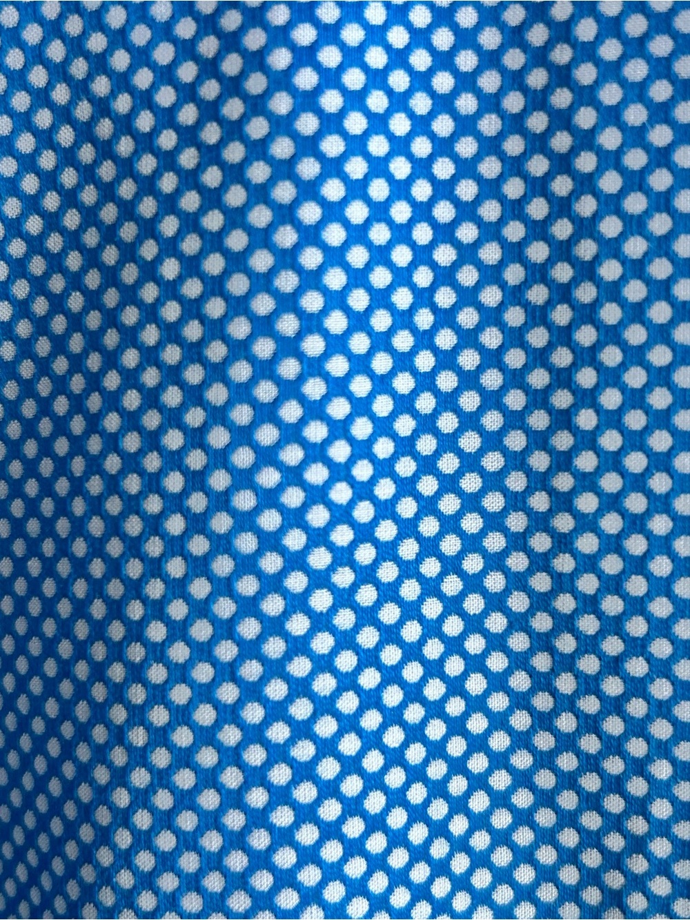 Women’s Blue Polka Dot Button Down Shirt